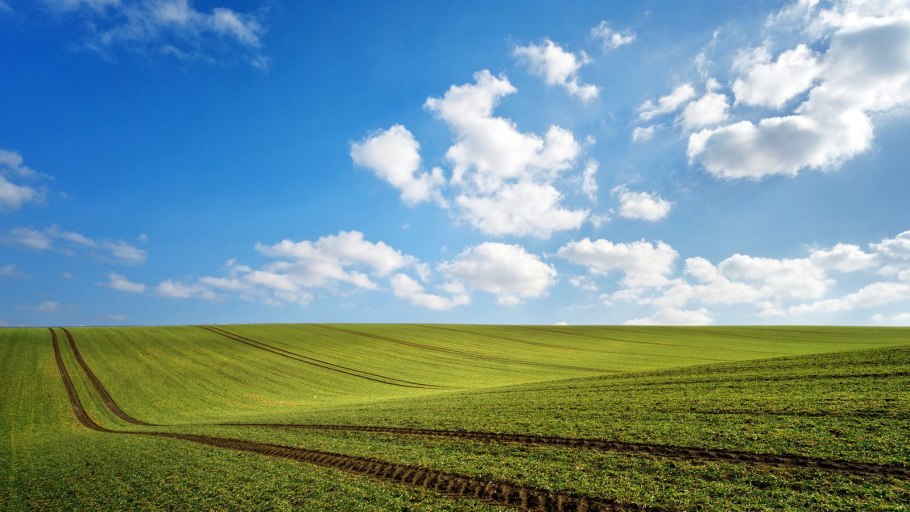 Бескрайние поля