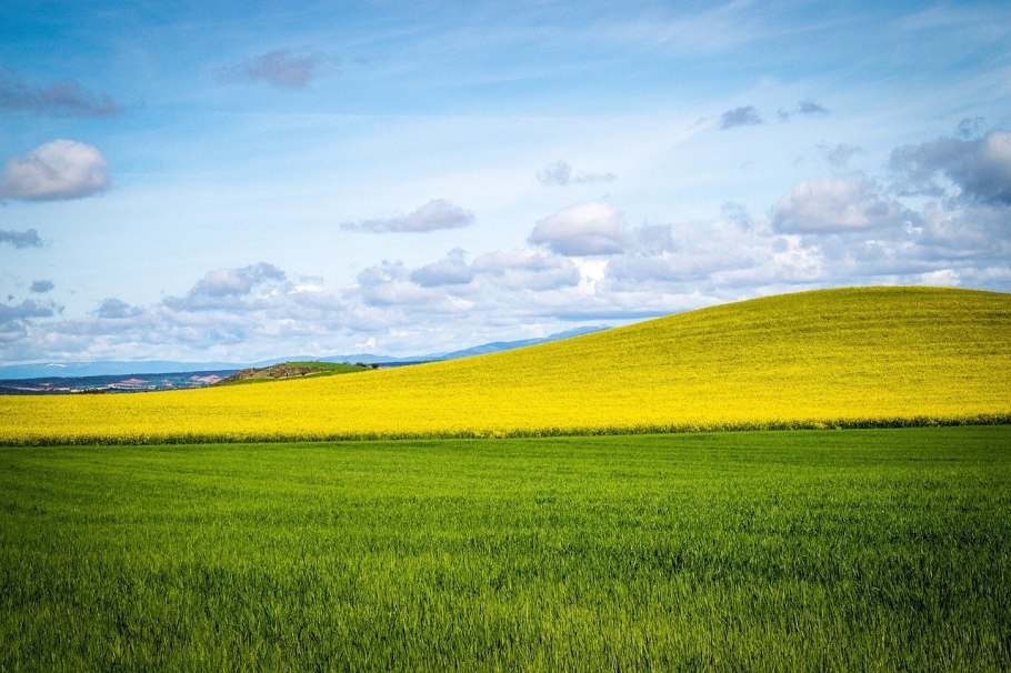 Горизонт поле Бугры