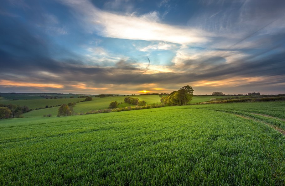 Природа поле