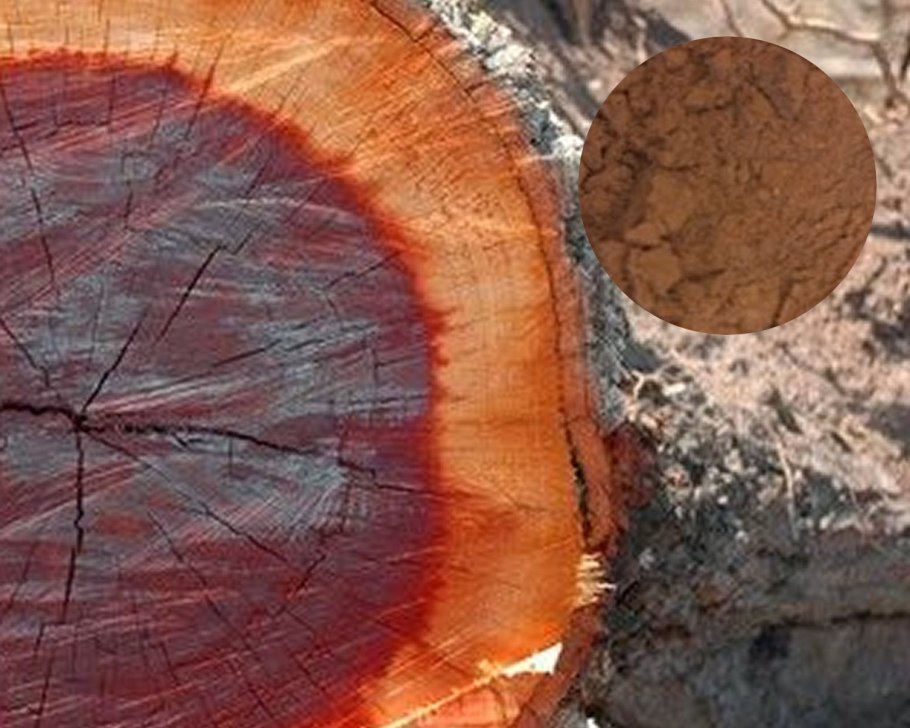 Квебрахо (кебрачо)