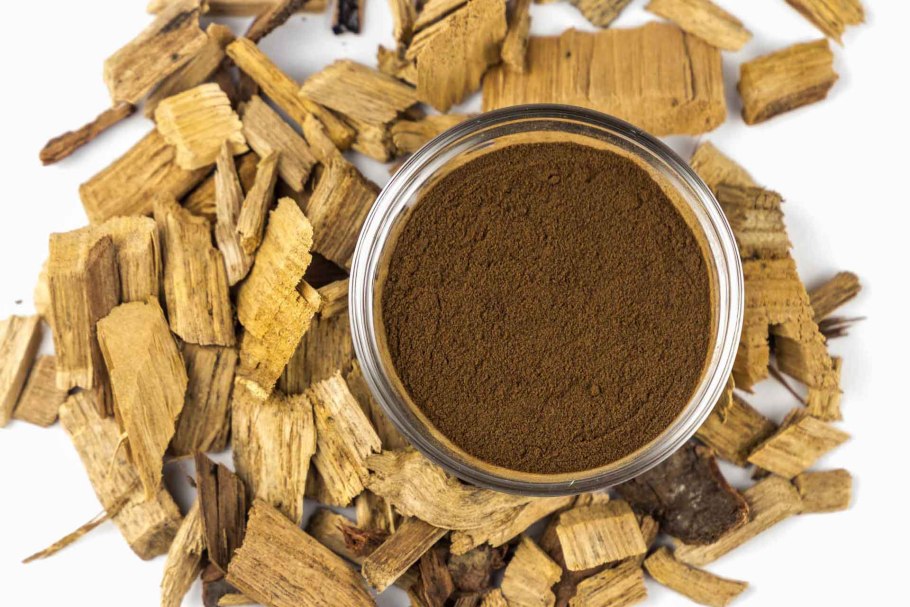 Сейба великолепная