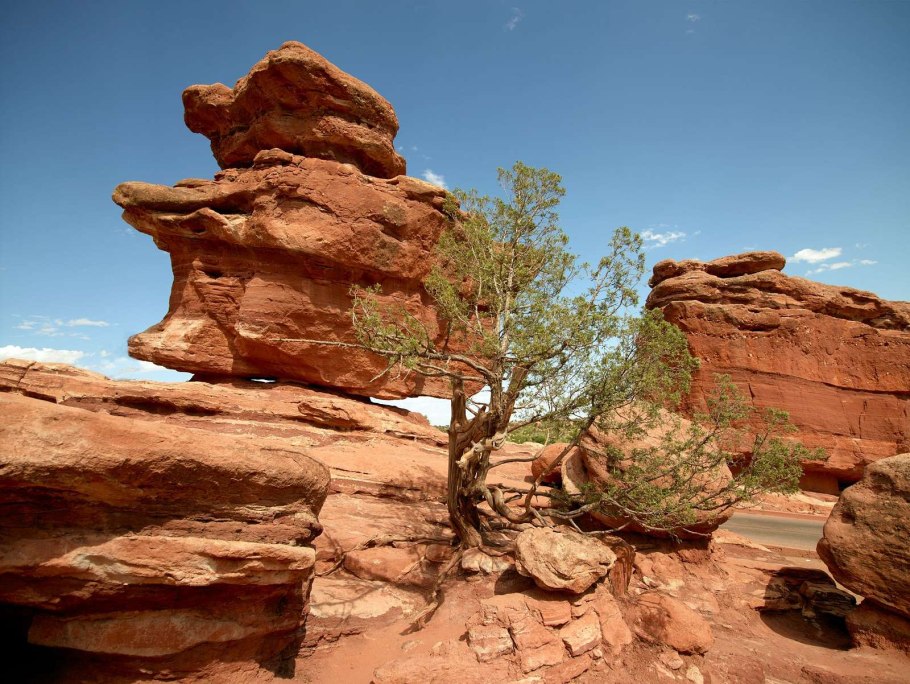 Сад богов колорадо-спрингс