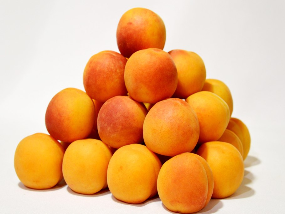 Абрикос Снежинский