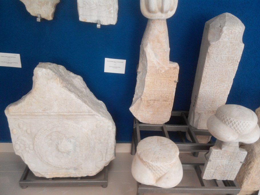 Суккулент Граптопеталум