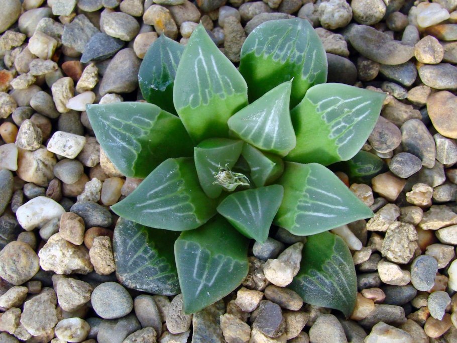 Знак замковые камни