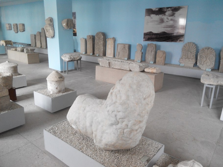 Эхеверия Магнифика