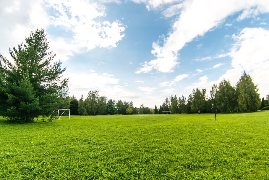 Чистая Поляна