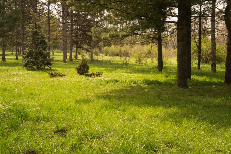 Лесная Поляна Тверская область