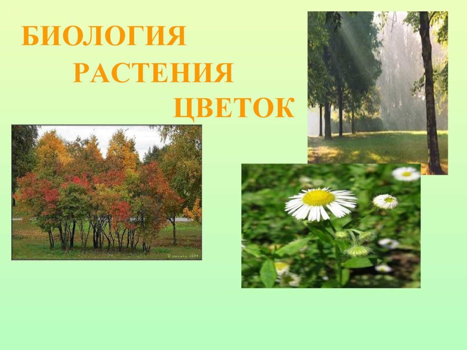 Изображение реки для детей