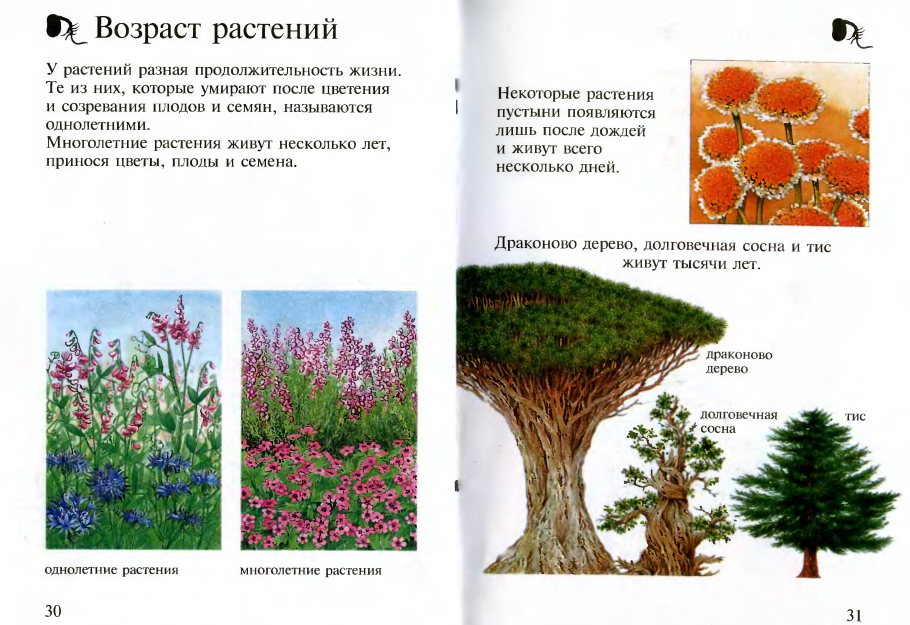 История растений книга