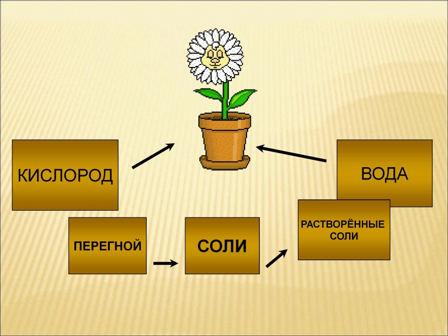 Опыты и эксперименты по биологии