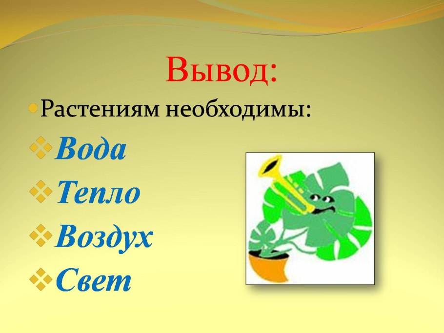 Что такое для растений вода воздух тепло свет