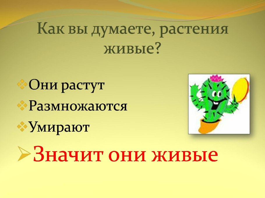 Презентация как живут растения