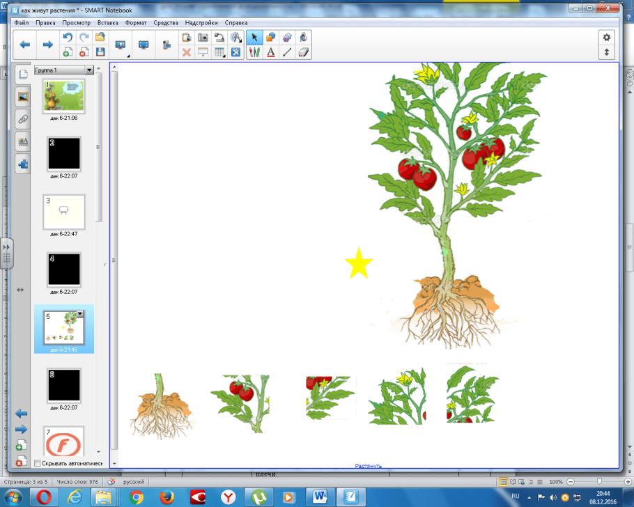 Мир растений 1 класс