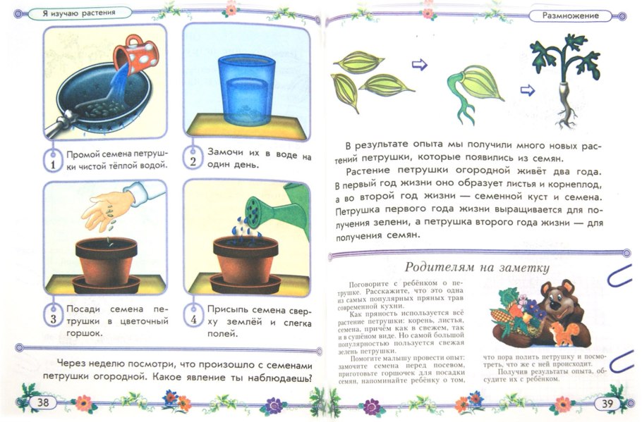 Увлекательные опыты по биологии