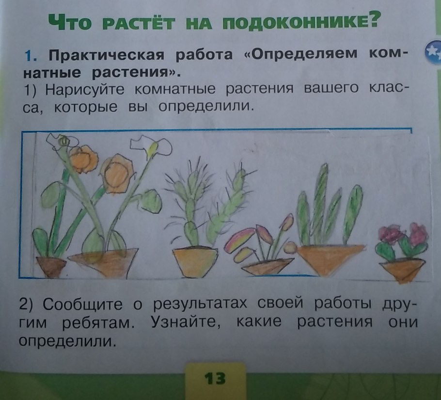 Алгоритм посадки растения для детей