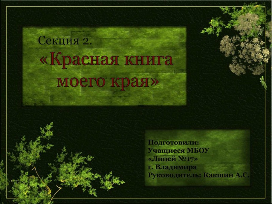 Комнатные цветы в классе названия