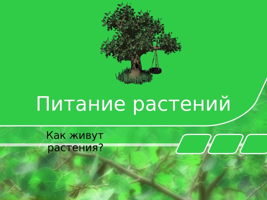 Части растений для дошкольников