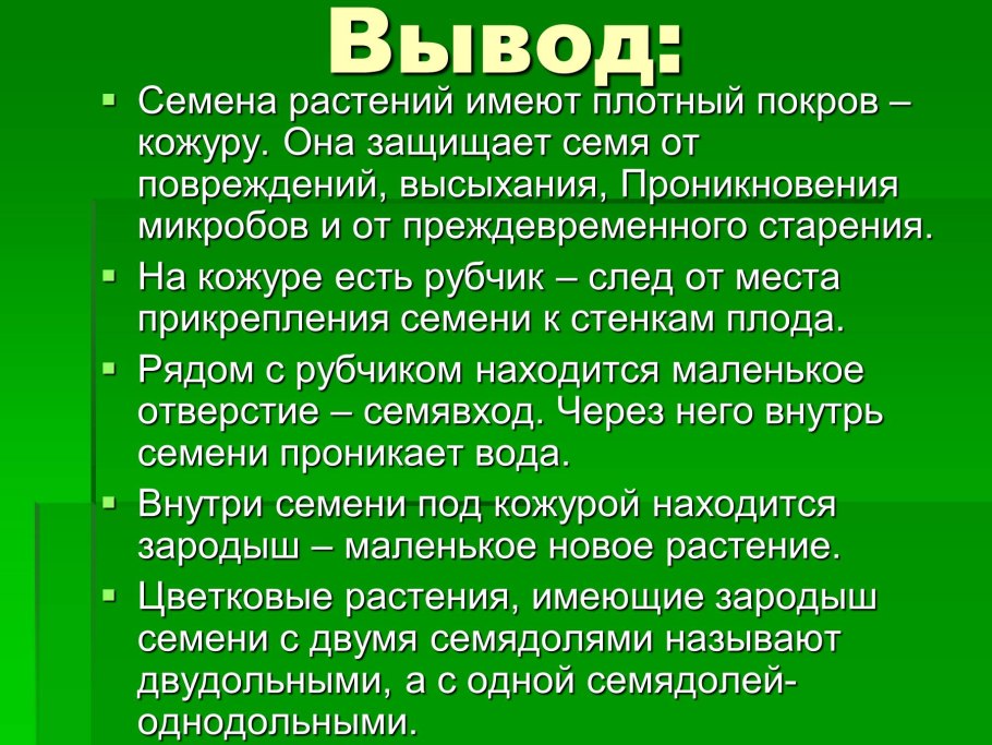 Жизненный цикл высших споровых растений схема