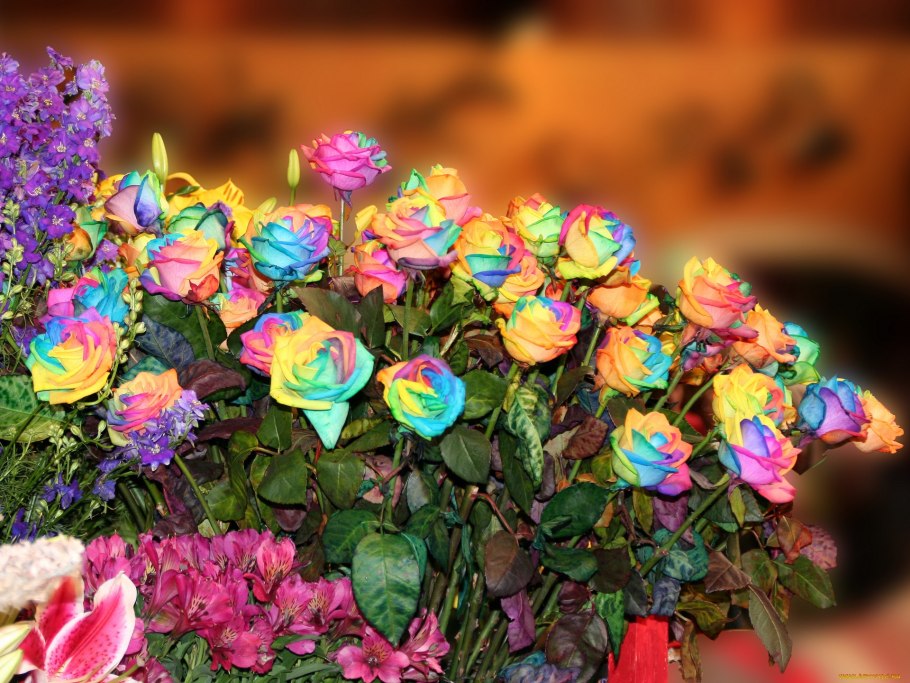 Клад Приама золото Трои