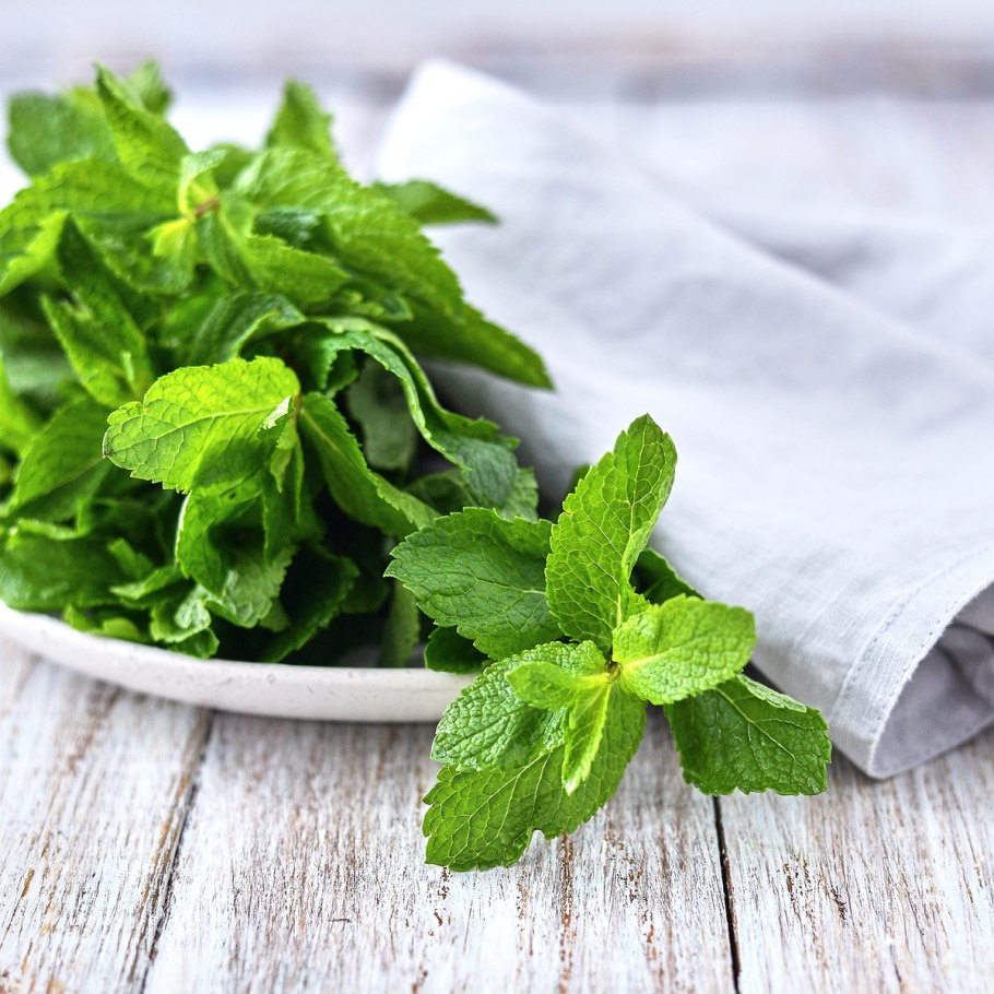 Мята перечная