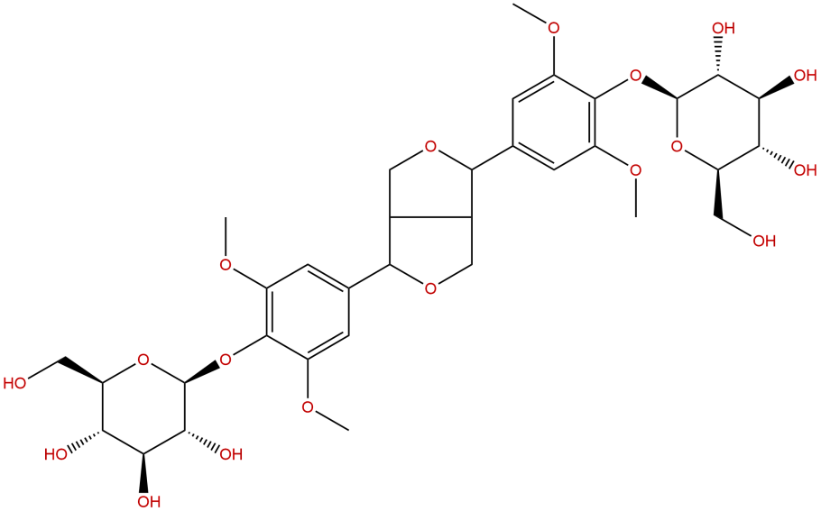 2019 Международную торгово-инвестиционную ярмарку ШОС