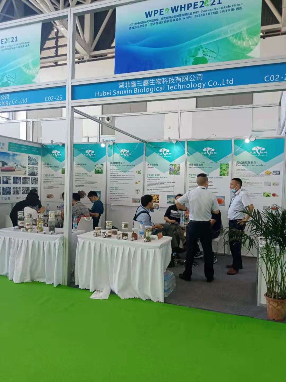 Акебия черенкование форум-45