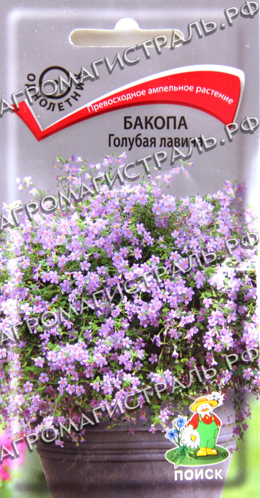 Бакопа ампельная голубая лавина