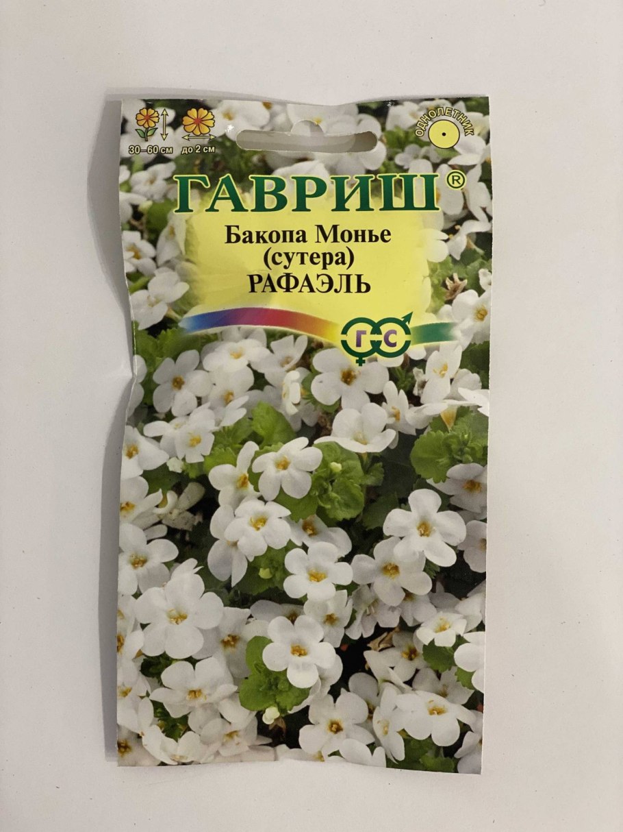 Бакопа розовая лавина