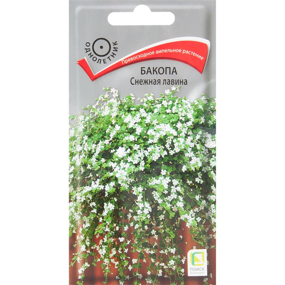 Бакопа снежная лавина