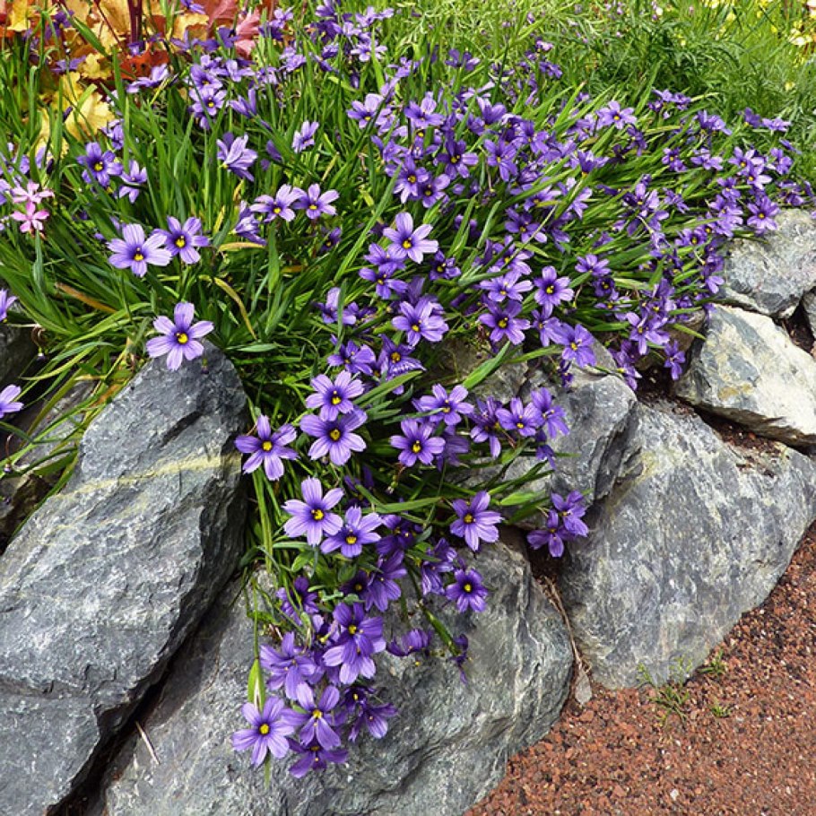 Лен прессуется