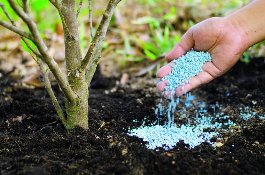 Удобрение для деревьев