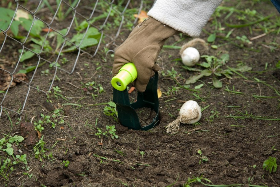 Посадки на даче весной