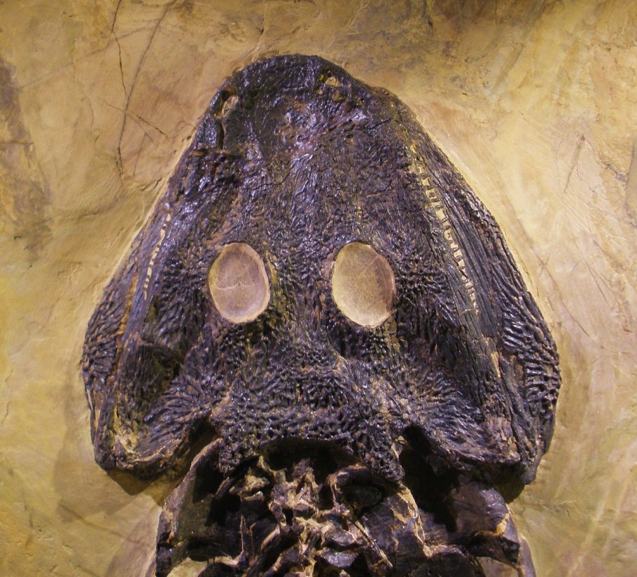 Дочь Анура Нюлюфер