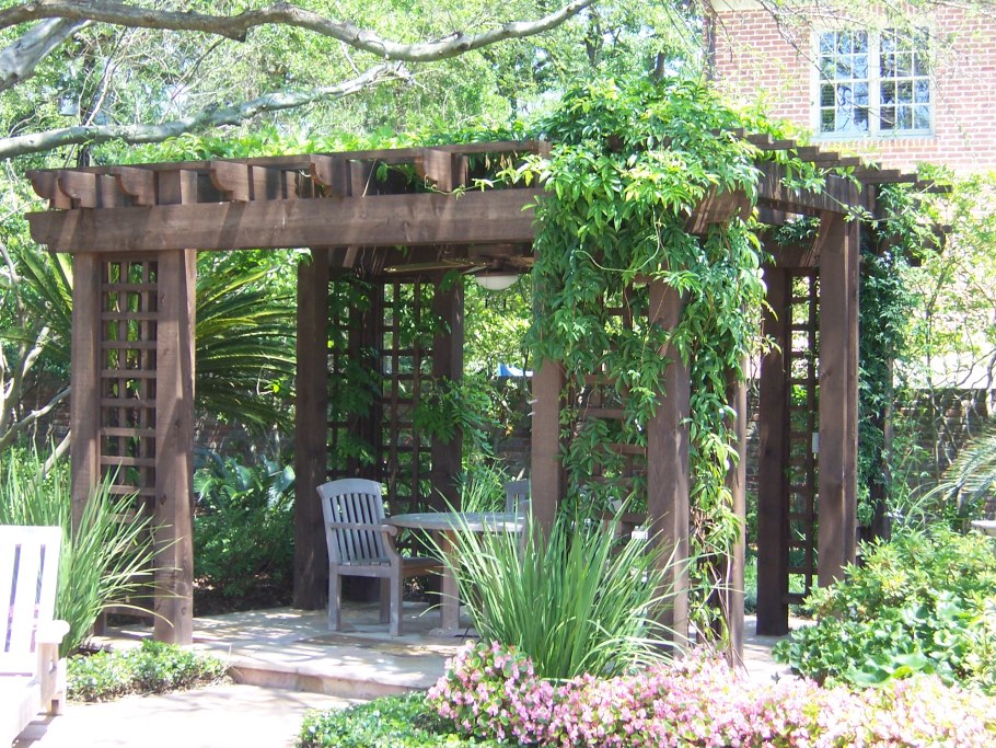 Плющ Хмель Вьюнок