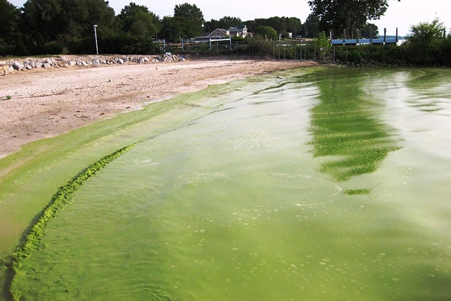 Озеро Эри эвтрофикация