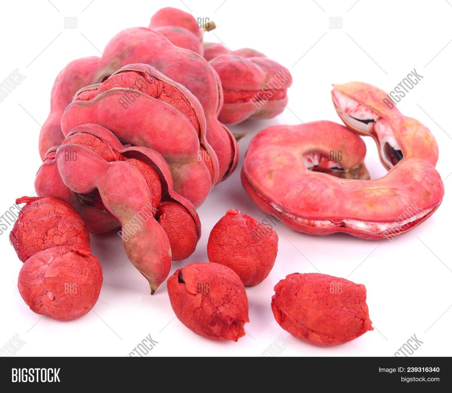 Pithecellobium Dulce (variegated)