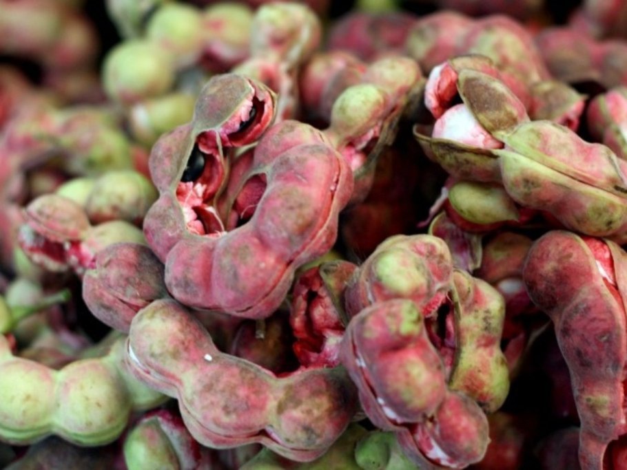 Манильский тамаринд