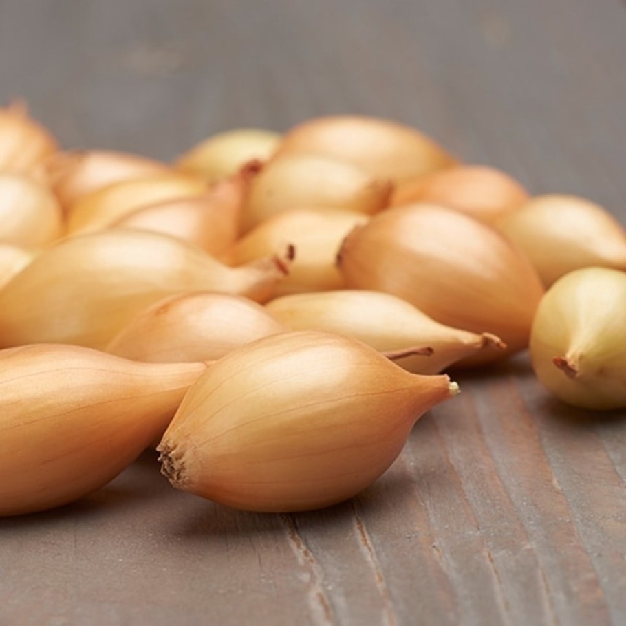 Аллиум Круглоголовый