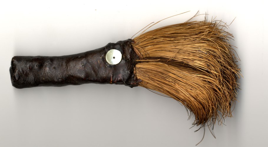 Chlorogalum pomeridianum