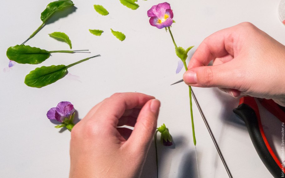 Плакучий фикус Бенджамина