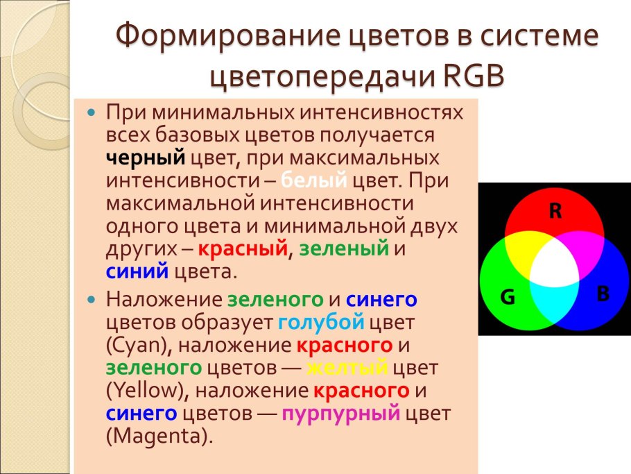 Пальметта яблоня