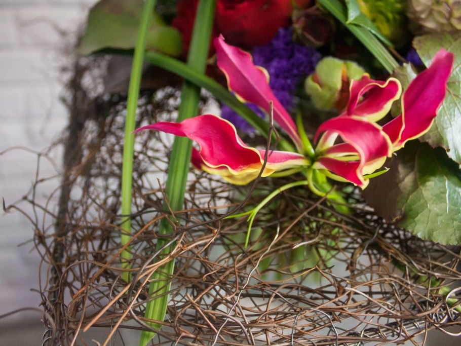 Вербена логотип