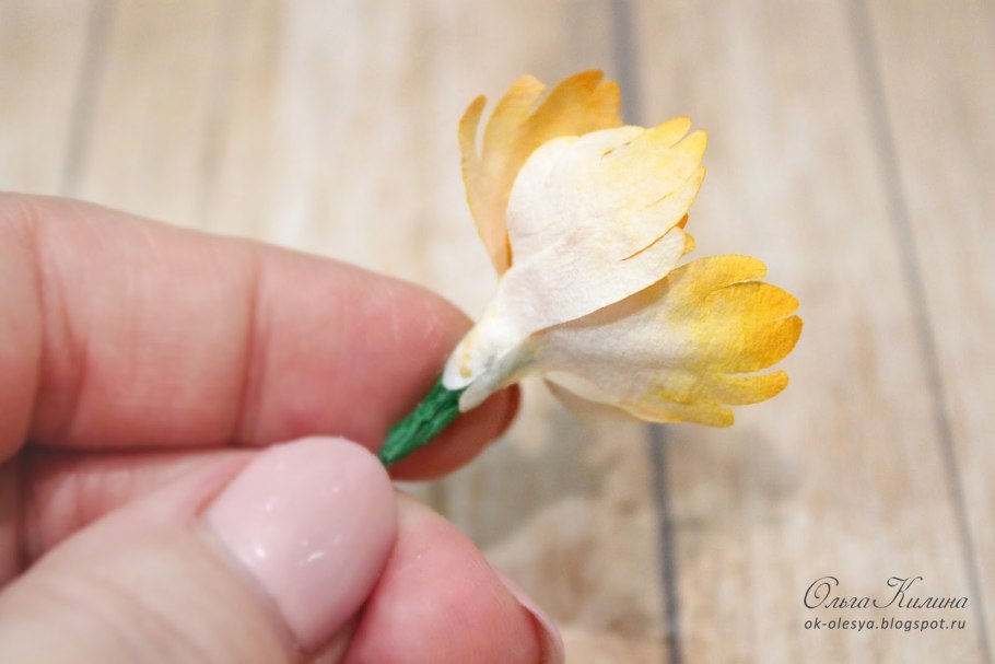 Табак стадии роста