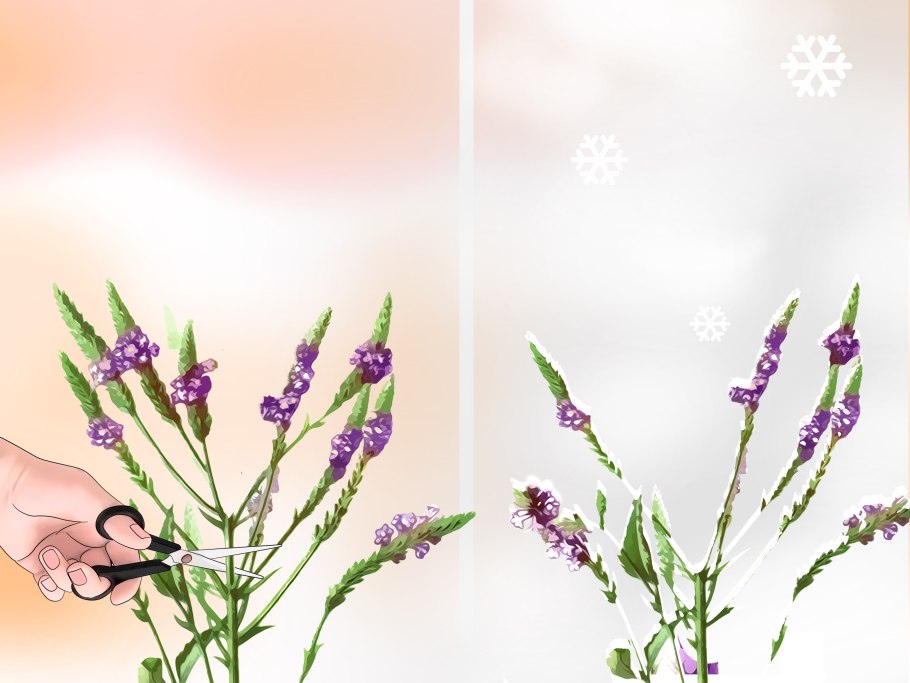 Флористика составление букетов