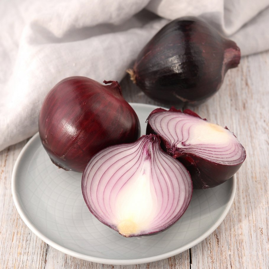 Лук репчатый красная горка f1