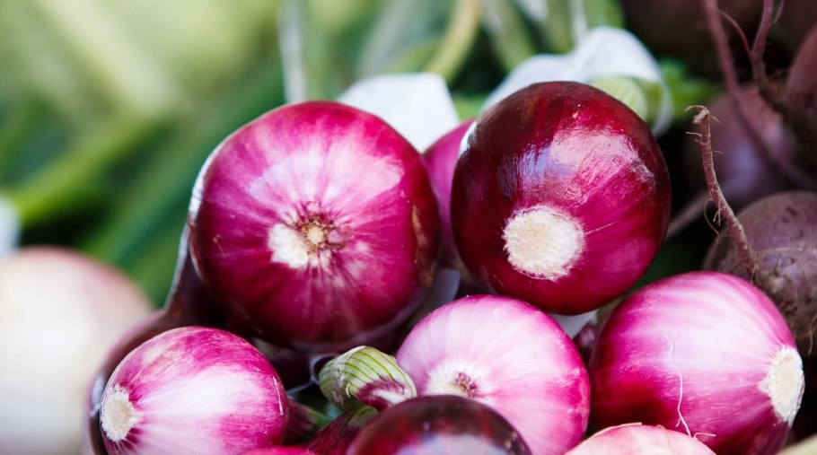 Красна лука