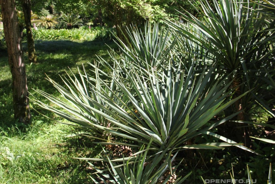 Сад в стиле степи