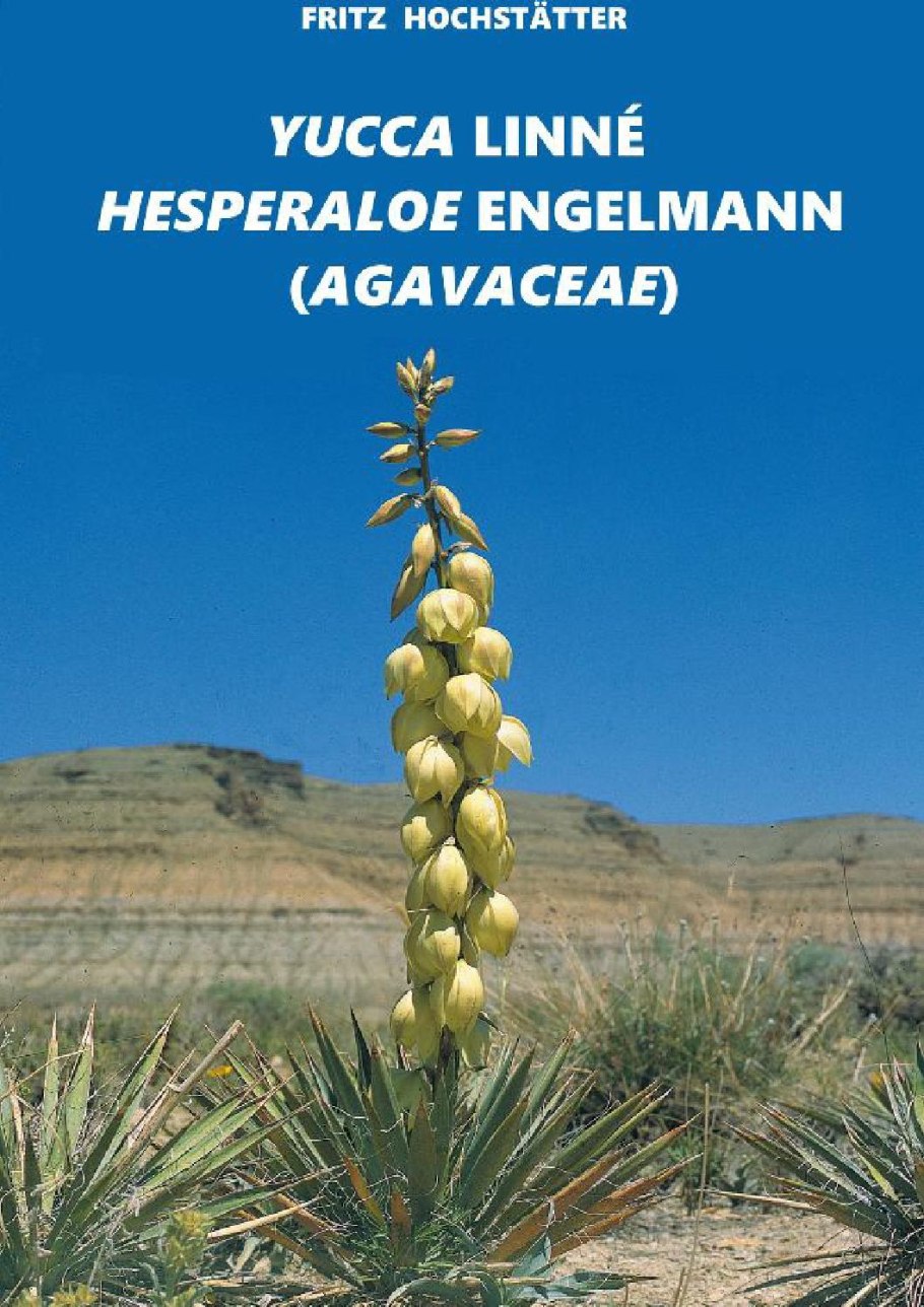 Yucca harrimaniae