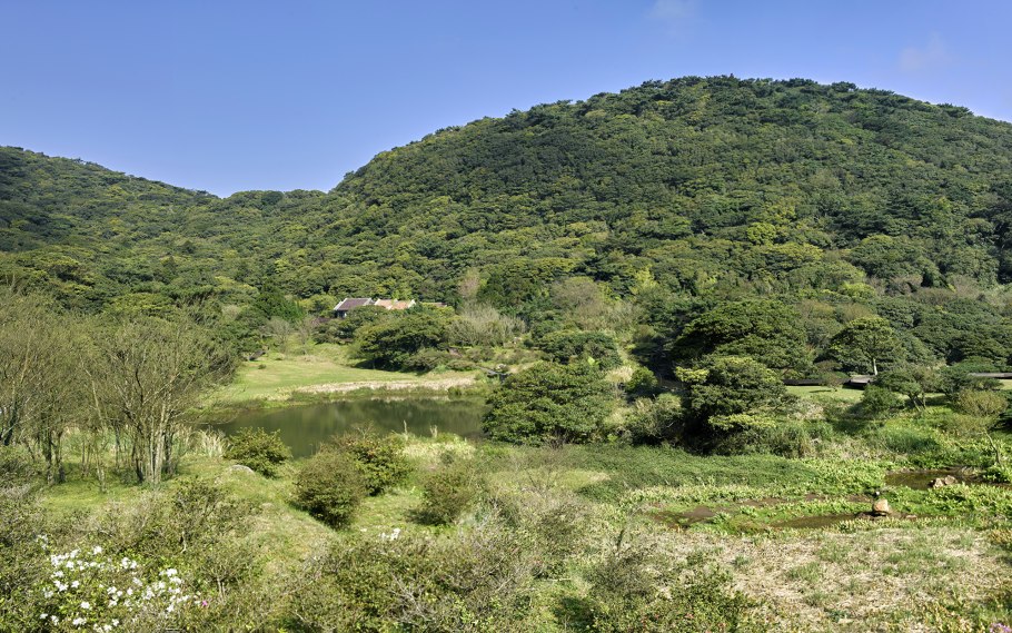 Жестколистные вечнозеленые леса и кустарники